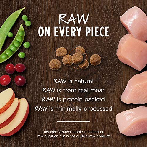 Instinct Original Dry Cat Food, Raw Coated Kibble, High Protein, Grain Free Recipe - Real Chicken, 5 lb. Bag