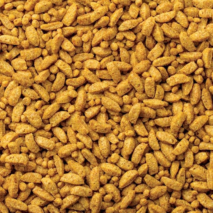 Mazuri | Nutritionally Complete for Small Birds | 2.5 Pound (2.5 lb.) Bag