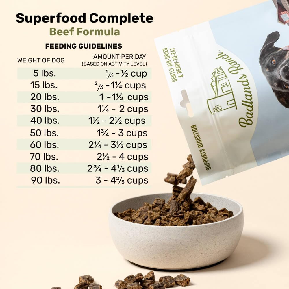 BADLANDS RANCH by Katherine Heigl – Superfood Complete Air-Dried Beef Dog Food – High Protein with Superfoods for Daily Wellness & Consistent Nutrition – 24 oz
