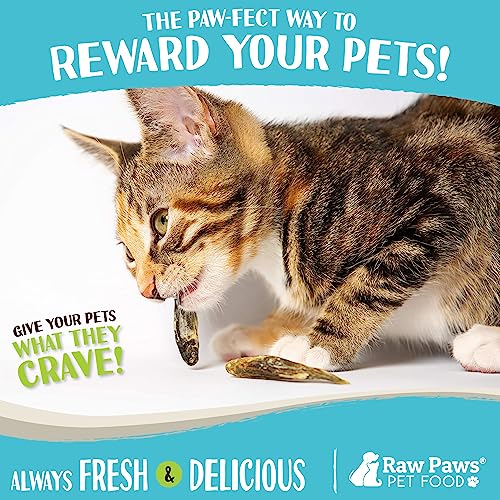 Raw Paws Smelt Freeze Dried Minnows for Cats & Dogs, 2-oz - Made in USA - Freeze Dried Fish for Cats - Single Ingredient Fish Dog Treats - Minnows Dog Treats