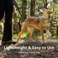 Ruffwear, Roamer Bungee Dog Leash for Running, Biking or Hiking, Can be Used Hand-Held or Hands-Free, River Rock Green, 5.5'-7'