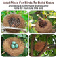 Sukh 2PCS Coconut Fiber for Bird Nest - Canary Nesting Material Coconut Bird Nest Finch Coconut Fiber Loose Bedding Substrate for Laying Eggs,Resting Materials for Birds, Hummingbird Parakeet
