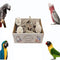 Bird Toys Bird Foraging Shredding Chewing Parrot Foraging Shredding Toys Chewing Toy Birdcage Accessories for Conures Caiques Cockatiel Budgies Parakeet and Small to Medium Birds