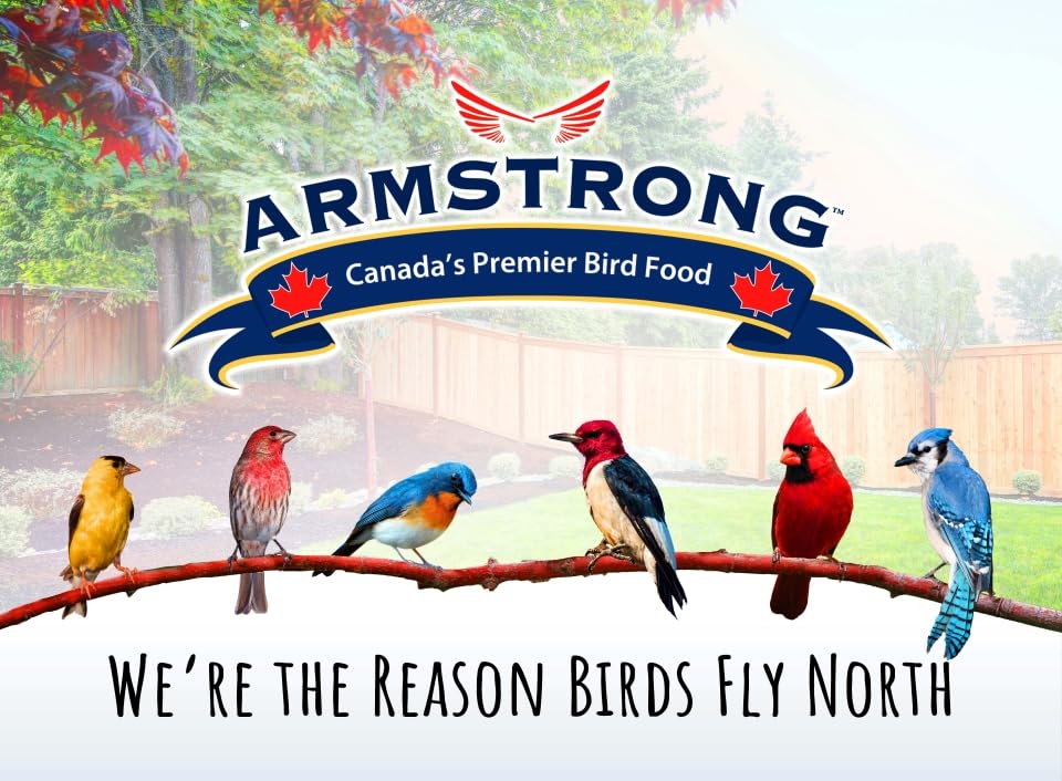 Armstrong Wild Bird Food Black Oil Sunflower Bird Seed, 35.3 Pounds - for Northern Cardinals, Blue Jays and Hairy Woodpeckers - Ideal for Outside Feeders