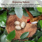 Sukh 2PCS Coconut Fiber for Bird Nest - Canary Nesting Material Coconut Bird Nest Finch Coconut Fiber Loose Bedding Substrate for Laying Eggs,Resting Materials for Birds, Hummingbird Parakeet