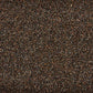 Kaytee Nyjer Wild Bird Food Seed, 5 Pound
