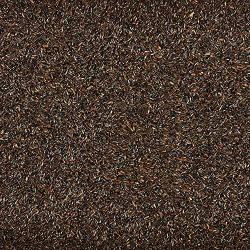 Kaytee Nyjer Wild Bird Food Seed, 5 Pound