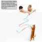 Cat Wand Toys Interactive Kitten Toys for Indoor Cats Colorful Teaser Wand String for Exercise Kitten Stick Kitty Rope Toy Rainbow Ribbon Cat Charmer -2Pcs