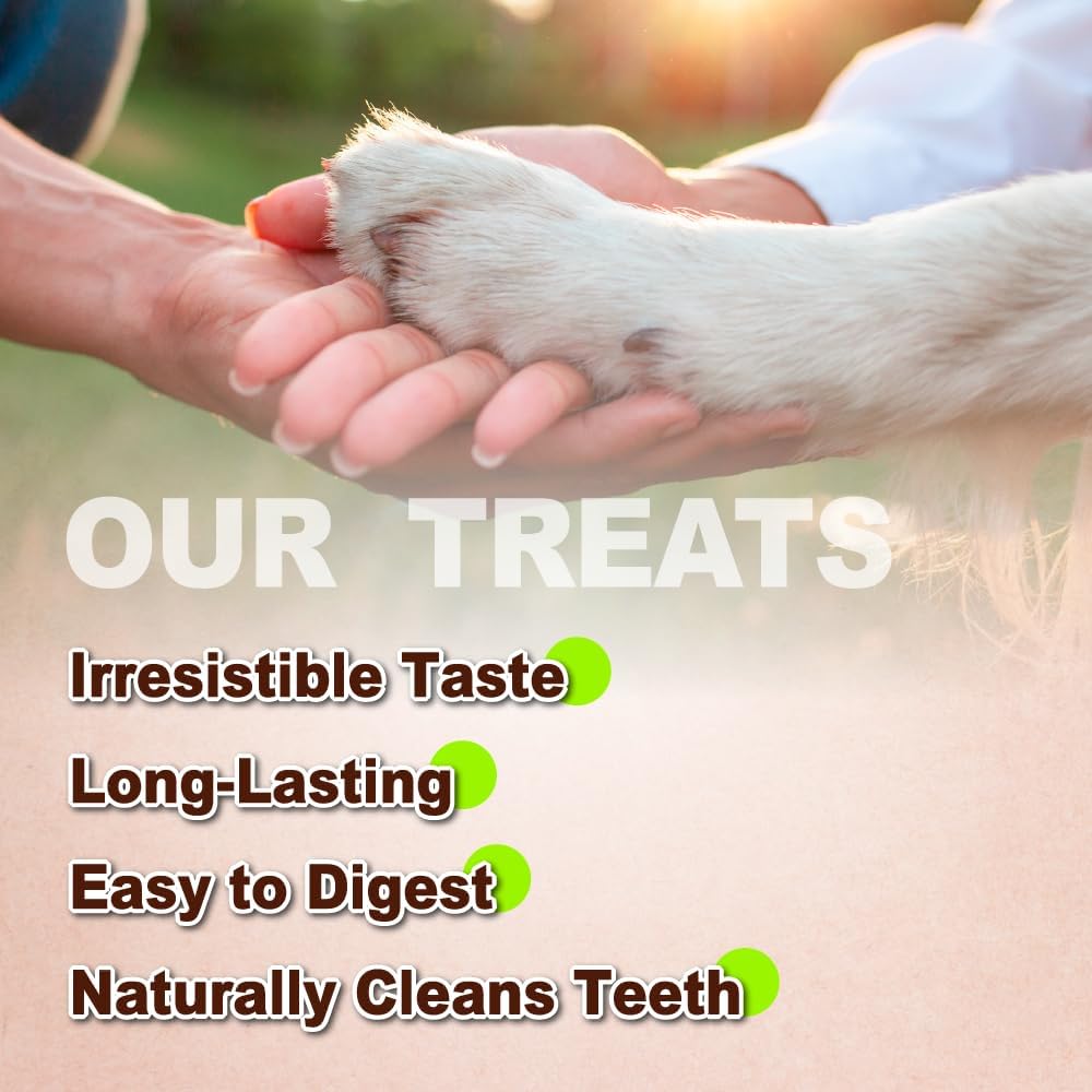 A Freschi srl Turkey Tendons for Dogs, Long-Lasting, Hypoallergenic Rawhide Alternative, Human Grade, Healthy Puppy Chews, Natural Dog Treats for Small Dogs, Strips, 3oz Pack