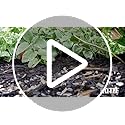 Kaytee Bird & Balcony Wild Bird Food No Mess Seed Blend for City Dwelling Birds Like Finches, Sparrows, Mourning Doves and More, 5 lb