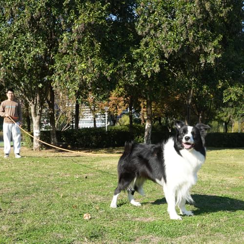 ZALER Long Dog Leash, 50 feet 30ft 20ft 15ft 10ft Dog Training Lead, Heavy Duty Reflective Check Cord Recall Leash for Dogs Training, Playing