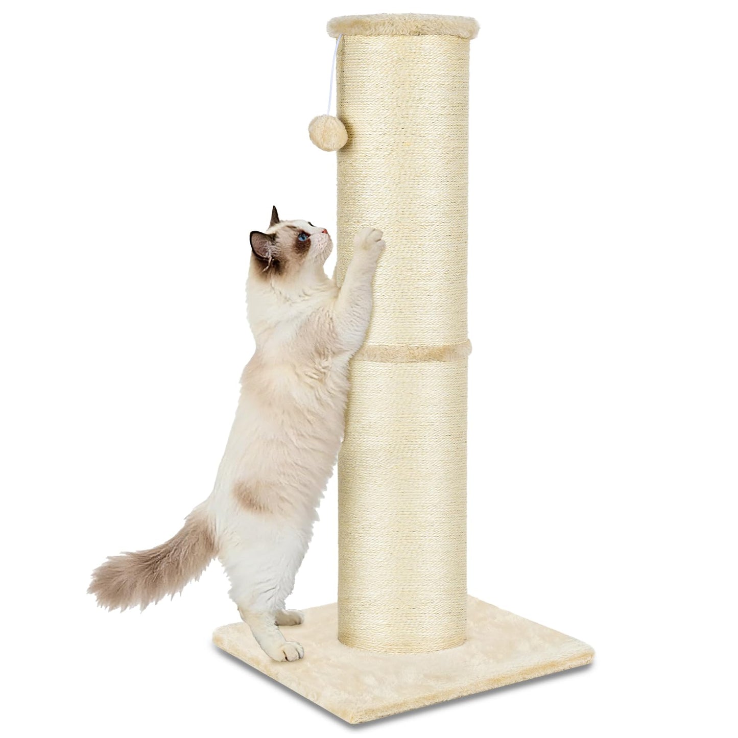 PAWSCRAT Cat Scratching Post 32 Inch High, 5.5 Inch Large Diameter Natural Sisal Cat Scratch Post, Scratch-Resistant and Durable Tall Cat Scratcher for Indoor Cats, Protect Your Furniture, Beige