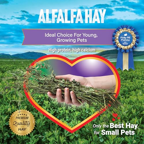 Small Pet Select Alfalfa Hay Pet Food for Young Rabbits, Guinea Pigs, Chinchillas, Tortoises and Other Small Animals, Easy to Store Box, 5 LB