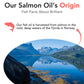 Salmon Oil for Dogs - Healthy Skin & Coat, All Natural Norwegian Fish Oil Food Supplement for Pets, Omega 3 EPA DHA, Ideal for Shedding, Allergy, Itching, Dry Skin, Joint & Bone Health - 16.9 Oz