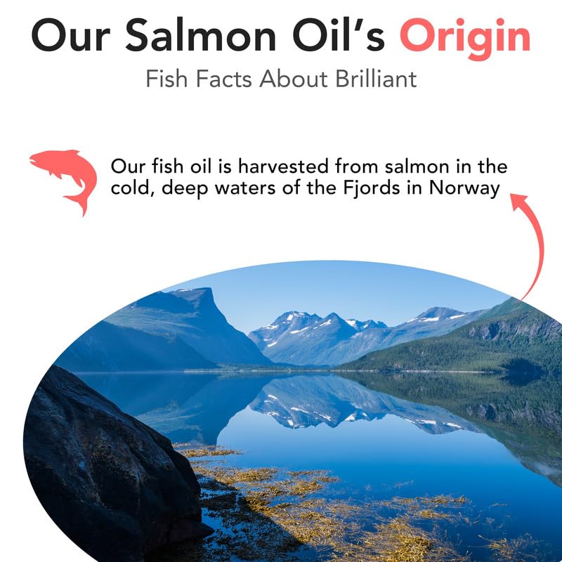 Salmon Oil for Dogs - Healthy Skin & Coat, All Natural Norwegian Fish Oil Food Supplement for Pets, Omega 3 EPA DHA, Ideal for Shedding, Allergy, Itching, Dry Skin, Joint & Bone Health - 16.9 Oz