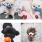 Smile Face Dog Squeaky Toys Soft Latex Squeak Balls for Puppy Small Pet Dogs 6 Pcs/Set