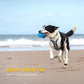 EASTBLUE Squeaky Dog Toys for Aggressive Chewers: Rubber Puppy Chew Ball with Squeaker, Almost Indestructible and Durable Pet Toy for Medium and Large Breed
