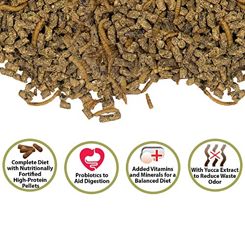 Exotic Nutrition Hedgehog Complete 5 lb - Nutritionally Complete Natural Healthy High Protein Pellets & Dried Mealworms - Food for Pet Hedgehogs