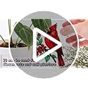 Hummingbird Gifts for Women, Hanging Plant Planter for Indoor Outdoor Garden, Mothers Day Birthday Gifts for Mom Grandma from Daughter Son, Bird Lover Plant Pots Accessories