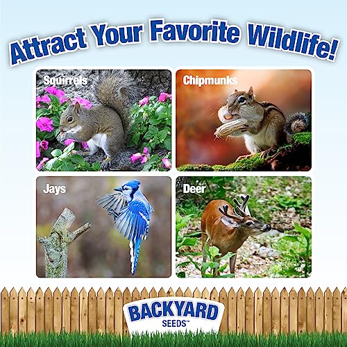CountryMax Backyard Seeds Squirrel & Chipmunk Food Mix – 8 lb Bag – Premium Wildlife Blend with Sunflower Seeds, Peanuts & Corn – Ideal for Squirrels, Chipmunks, Rabbits & Backyard Birds