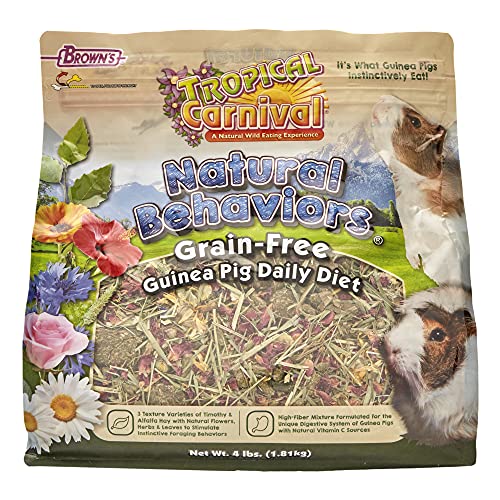 Tropical Carnival Natural Behaviors Grain-Free Guinea Pig Food – 4 Pounds, High-Fiber Timothy Hay Blend with Flowers & Leaves, Supports Natural Foraging, Chewing, and Digestive Health, Added Vitamin C