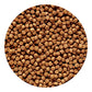 Hikari 12-Ounce Sinking Cichlid Gold Pellets for Pets, Mini