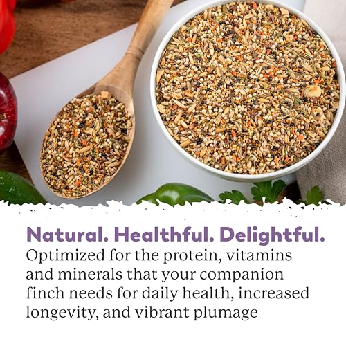 Dr. Harvey’s Fabulous Finch Food for Outside Feeder and Indoor Birds- Premium Bird Feed with Seeds, Nuts, Fruits, Vegetables for Finches (4 Pounds)