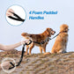 PetBonus Double Dog Leash, No Tangle Dual Leash, Reflective Walking Training Lead, 4 Comfortable Padded Handles for 2 Dogs with Collapsible Bowl and