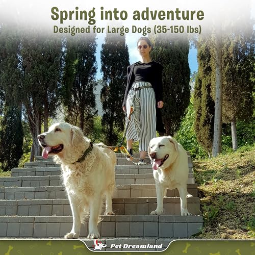 Pet Dreamland Exquisite Hands Free Double Dog Leash for Two Dogs with Tangle-Free Swivel. Premium Quality & Versatile for Running. You Will