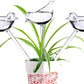 Glass Plant Watering Globes, Self Watering Globes Bird Shape, Self Watering Planter Insert, Plant Watering Devices, Automatic Plant Waterer Indoor, Watering Bulbs, 3 Pack