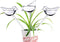 Glass Plant Watering Globes, Self Watering Globes Bird Shape, Self Watering Planter Insert, Plant Watering Devices, Automatic Plant Waterer Indoor, Watering Bulbs, 3 Pack