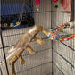 Bird Parrot Ladder Perch for Cage, Nature Wooden Bird Bridge Exercise Stands Parrot Climbing Chewing Toys for Small Animal
