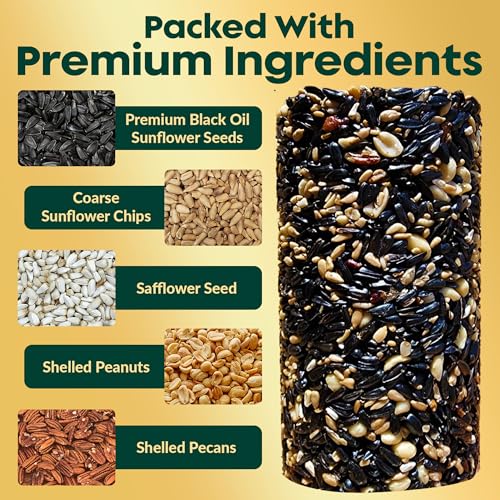 All Year Round Bird Seed Cylinders with Hole – All Season Wild Bird Food for Blue Jays, Cardinals, Doves, Finches & More – Balanced High Energy All Natural Blend, No Fillers – USA Made (4" x 7.75")