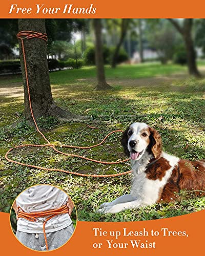 Long Dog Leash for Training 10FT/16FT/20FT/30FT/50FT/100FT, Reflective Tie Out, Heavy Duty Dog Lead for Large, Medium & Small Dogs - Outside Walking