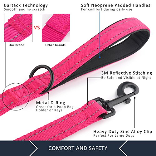 Plutus Pet Double Handle Dog Leash 6ft Long, Padded 2 Handle, Heavy Duty, Reflective Training Leash for Medium Large Dogs, Dual Handle Lead (Pink)