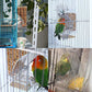 Hamiledyi No Mess Bird Cage Feeder Automatic Parrot Seed Feeders with Perch Acrylic Transparent Seed Food Container Cage Accessories for Small and Medium Parakeets Lovebirds