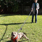 Primal Pet Gear Dog Leash 6ft Long,Traffic Padded Two Handle,Heavy Duty,Reflective Double Handles Lead for Control Safety Training,Leashes for Large