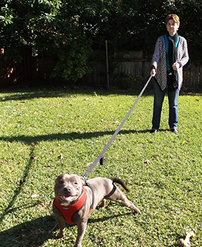Primal Pet Gear Dog Leash 6ft Long,Traffic Padded Two Handle,Heavy Duty,Reflective Double Handles Lead for Control Safety Training,Leashes for Large
