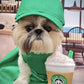 Nestpark Parody Star Pups Coffee Dog Toy Pup'kin Spice Latte - Funny Plush Squeaky Crinkle Dog Toys for Medium, Small and Large for Dog Birthday