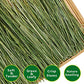 Timothy Hay 2.2LBS - Premium Hay for Rabbits Tortoise Guinea Pig Chinchilla - Dust Free Natural Fresh Hay (1.1 lbs, 2 Pack)