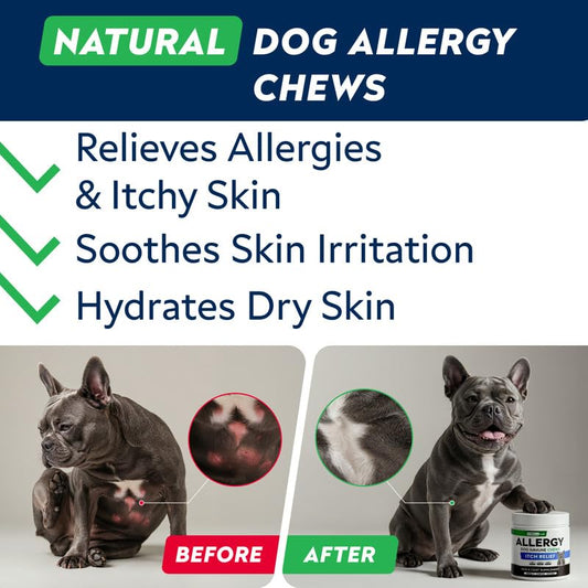 StrellaLab Dog Allergy Relief & Anti Itch Support Chews w/Omega 3: Real Ingredients, Real Taste! Skin & Coat Immune w/Fish Oil, Pumpkin & Enzymes