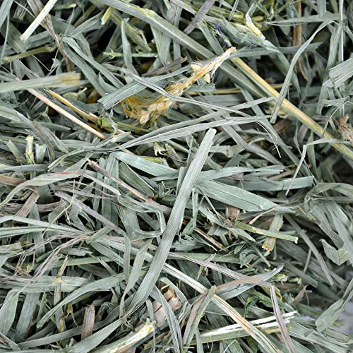 Oxbow Organic Meadow Hay, Guinea Pig & Rabbit Hay, Small Pet Bunny Supplies, All Natural Grass for Guinea Pig, Bunny, Chinchilla & Hamster, Rabbit Supplies for Bunnies, 40 oz Bag
