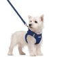 rabbitgoo Dog Harness Small Sized and Leash Set, Step in Soft Light Puppy Vest, Breathable Mesh Pet Harness, Reflective for Safe Outdoor Walking