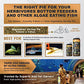 Ultra Fresh Algae Wafers Pleco Food, Spirulina & Algae, Sword Prawns, Balanced Diet, Color Enhancing, All Natural Ingredients, for Algae Eaters, Bottom Feeders, Vegetables Shrimp Pie, 5.11oz