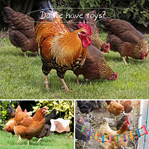Chicken Toys for Coop 12PCS Set, KAKUNM Chicken Enrichment Toys，Including Xylophone, Swing Set, Mirror Toy, Flexible Ladder, Vegetable String Bag and Hanging Feeder, Coop Accessories for Hens