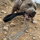 Heavy Duty Dog Leash,Metal Dog Chain Leash with Padded Handle for Large & Medium Size Dogs (6 ft. x 3.0 mm (25-120 lbs.))