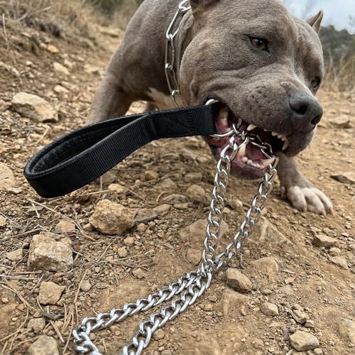 Heavy Duty Dog Leash,Metal Dog Chain Leash with Padded Handle for Large & Medium Size Dogs (6 ft. x 3.0 mm (25-120 lbs.))