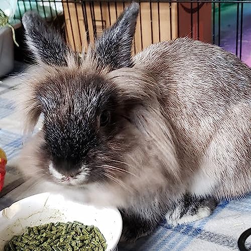 Sherwood Pet Health Adult Rabbit Food Timothy Hay Free-Choice 4.5lbs Hay-Based, Grain and Soy-Free for Better Digestion