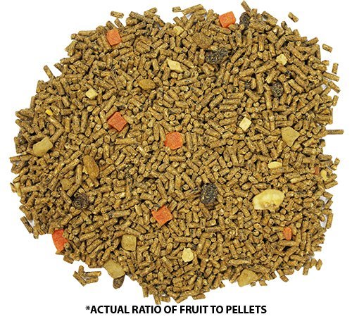 Exotic Nutrition Glider Complete 5 lb | Natural Fruit Bits | Sugar Glider Food
