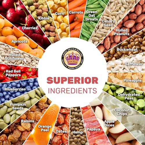Small Hookbill Cuisine, 4 Lbs Premium Birdseeds for Parrot, Bird Food for Small Hookbill, Supports Daily Energy, Growth & Digestive Health, Nutrient-Rich Parrot Bird Seed for Outside Feeders